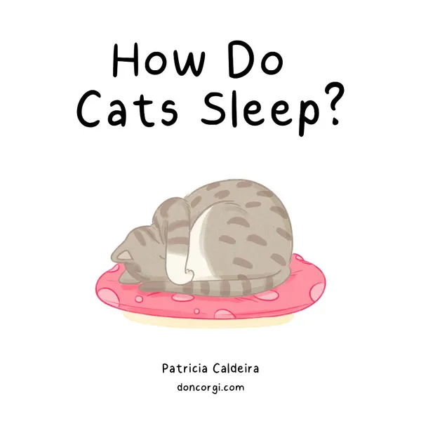 How Do Cats Sleep Cover