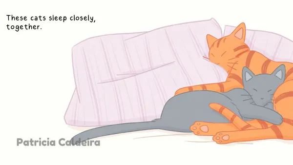 How Do Cats Sleep Spread 1